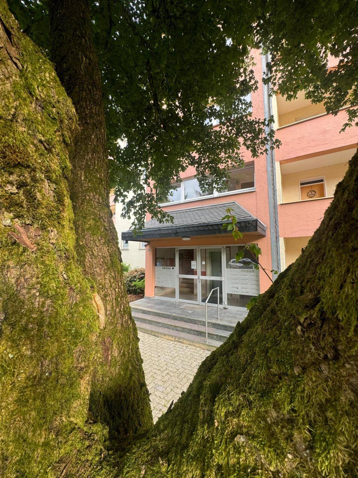 Ferienwohnung Brilon - Willingen Exterior photo